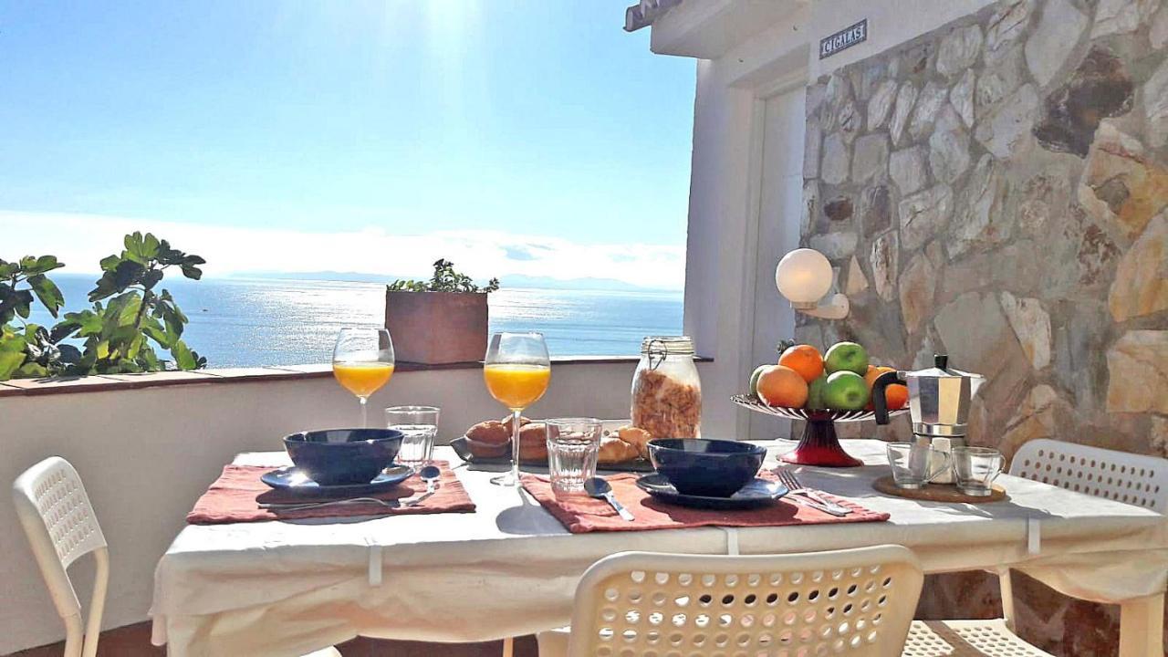 Splendido Studio, Vista Mare, A 5Mn Dalla Spiaggia - Casa Artevida Roses Zewnętrze zdjęcie